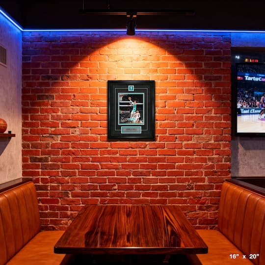 LaMelo Ball Framed Pin & Plate Hornets 16" x 20"